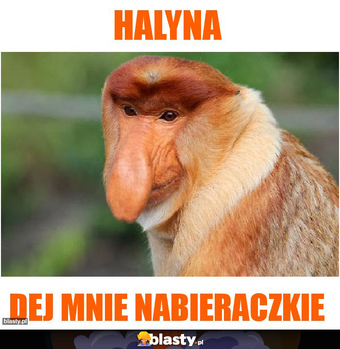 Halyna