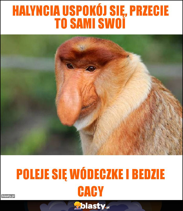 Halyncia uspokój się, przecie to sami swoi