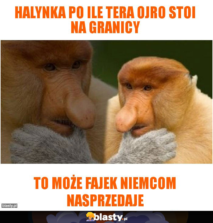 Halynka po ile tera ojro stoi na granicy