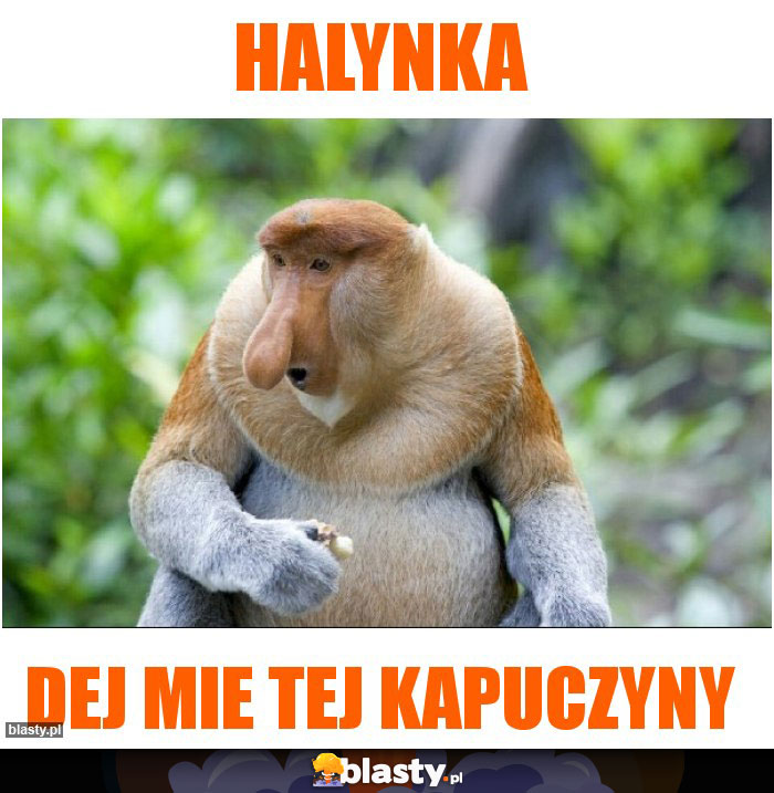 Halynka