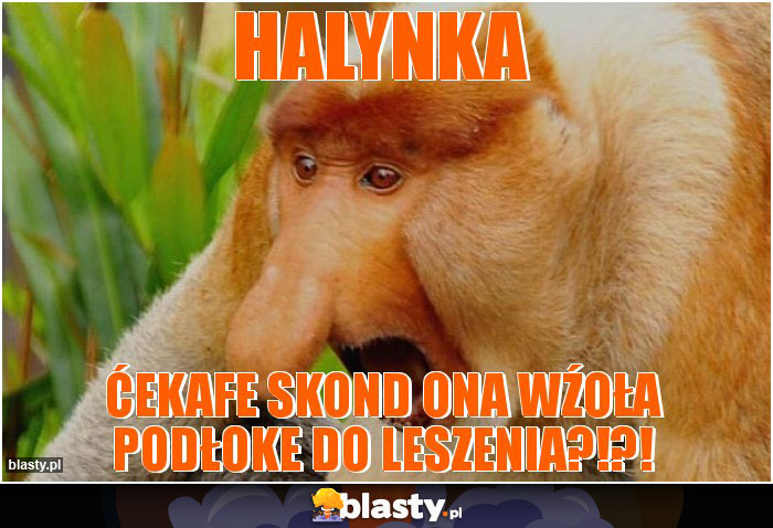 Halynka