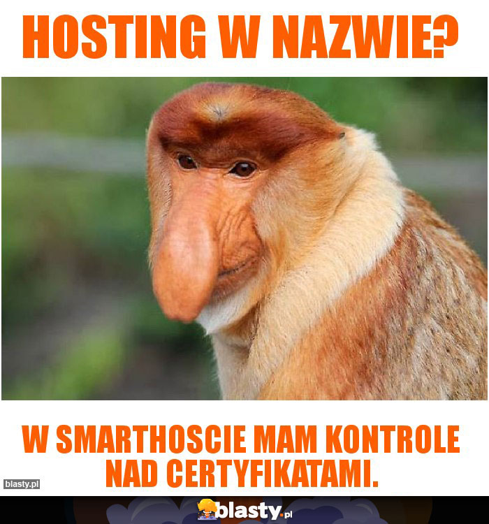 Hosting w nazwie?