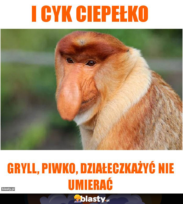 I cyk ciepełko