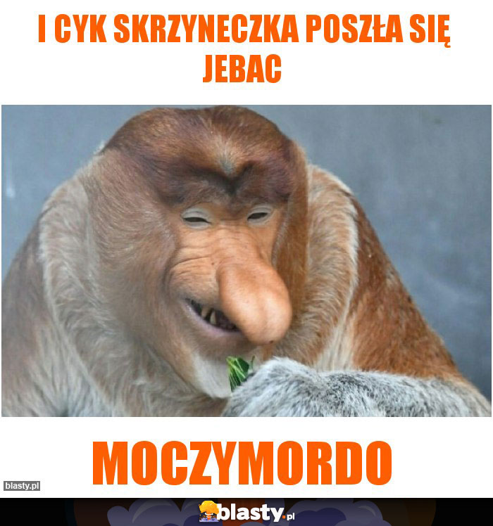 I cyk Skrzyneczka poszła się jebac