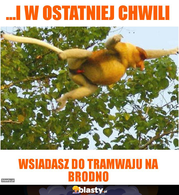 ...i w ostatniej chwili