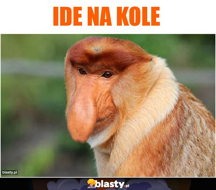 ide na kole