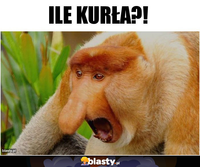 Ile kurła?!