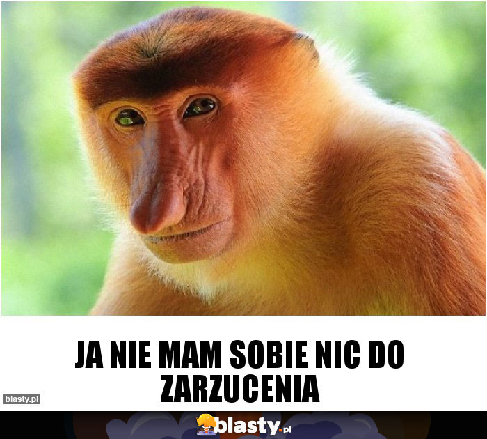 Ja nie mam sobie nic do zarzucenia