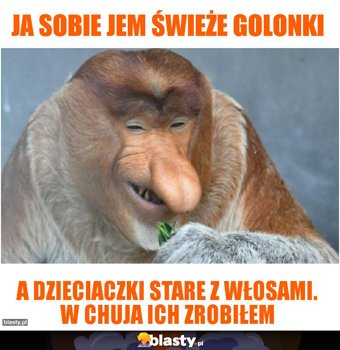 Ja sobie jem świeże golonki