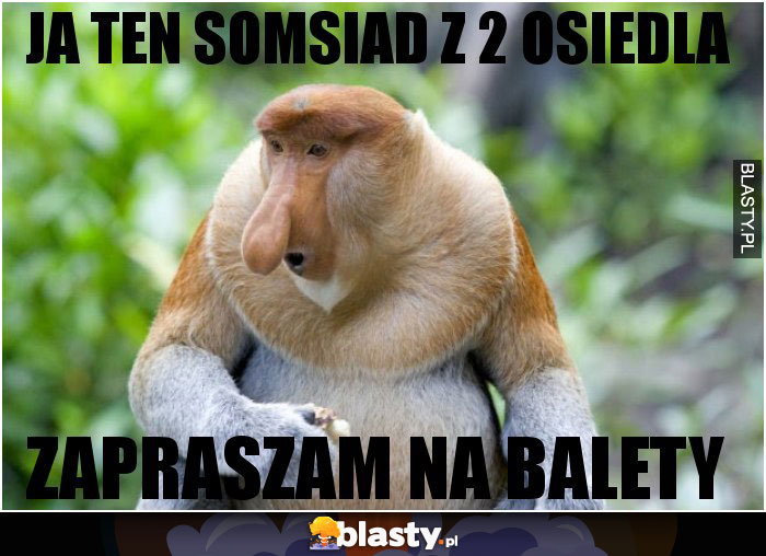 Ja ten somsiad z 2 osiedla