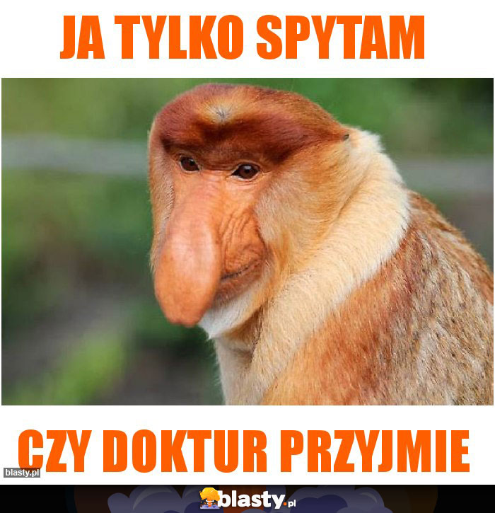 Ja tylko spytam