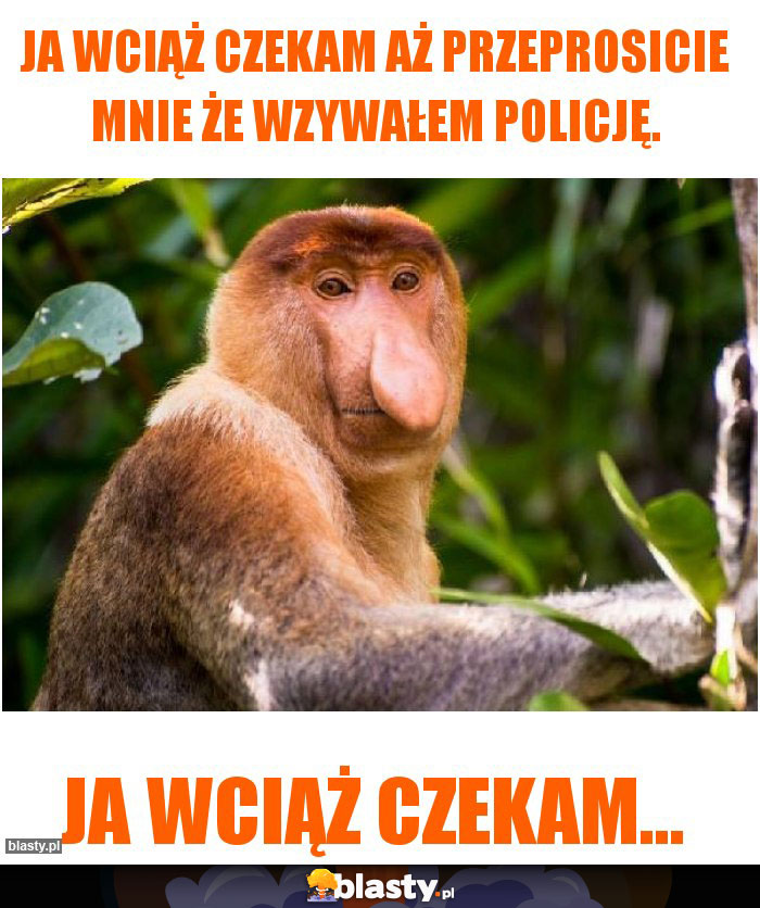 Ja wciąż czekam aż przeprosicie mnie że wzywałem policję.