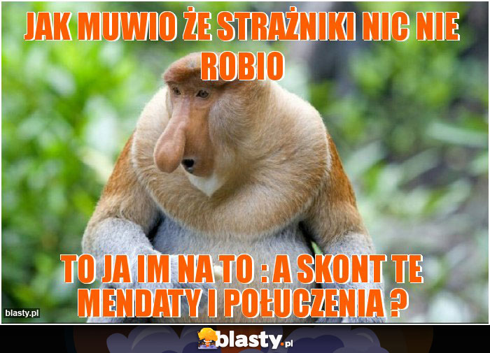 Jak muwio że strażniki nic nie robio