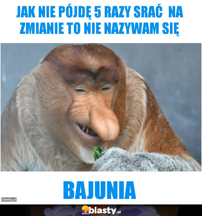 Jak nie pójdę 5 razy srać  na zmianie To nie nazywam się