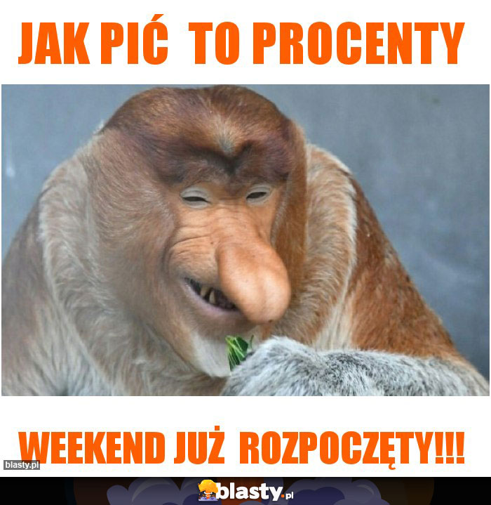 JAK PIĆ  TO PROCENTY