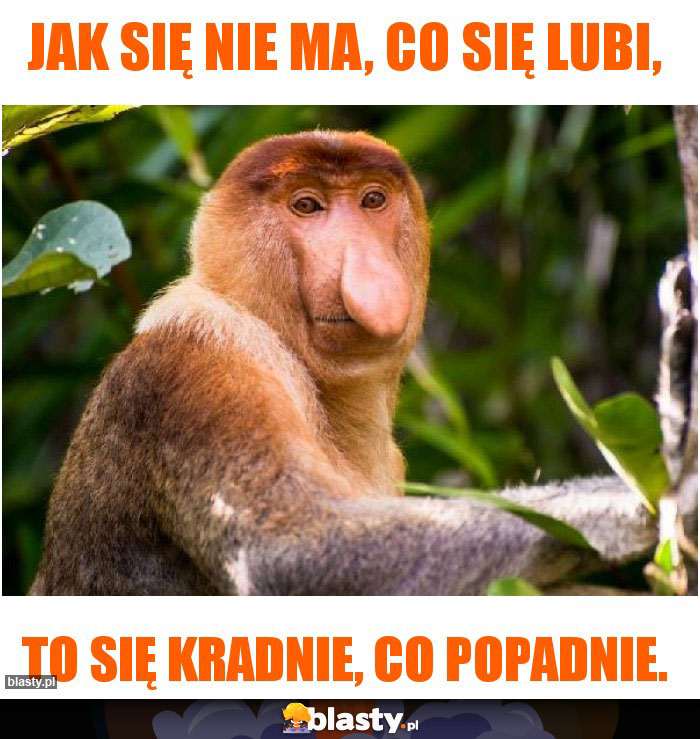 Jak się nie ma, co się lubi,