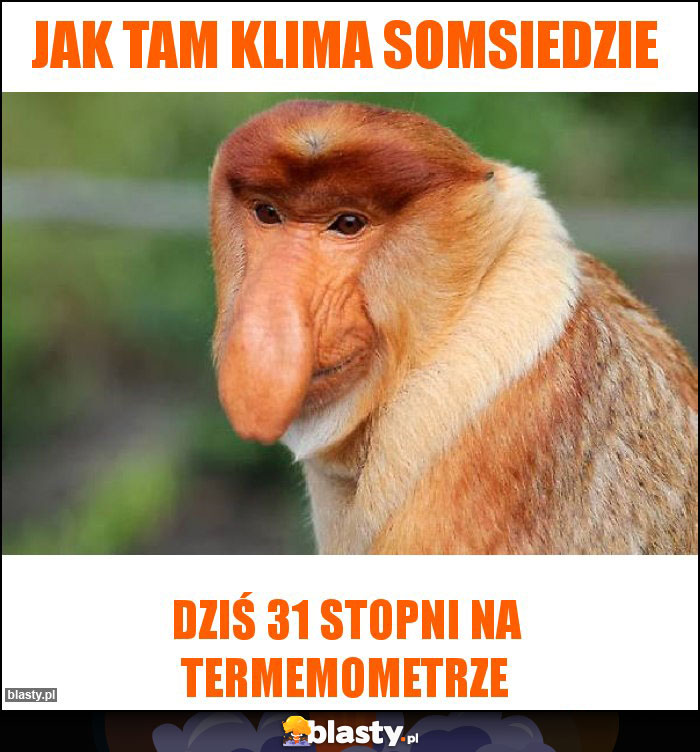 Jak tam klima somsiedzie