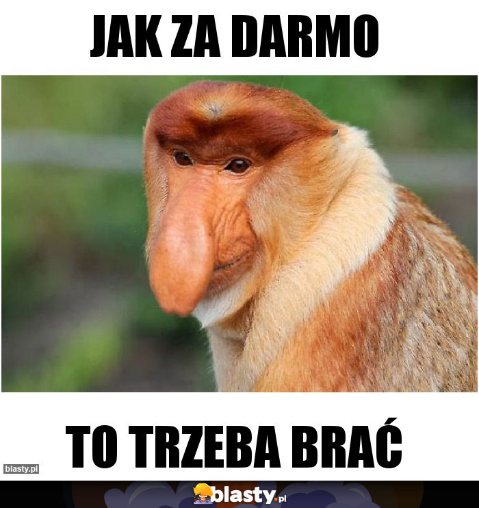 Jak za darmo