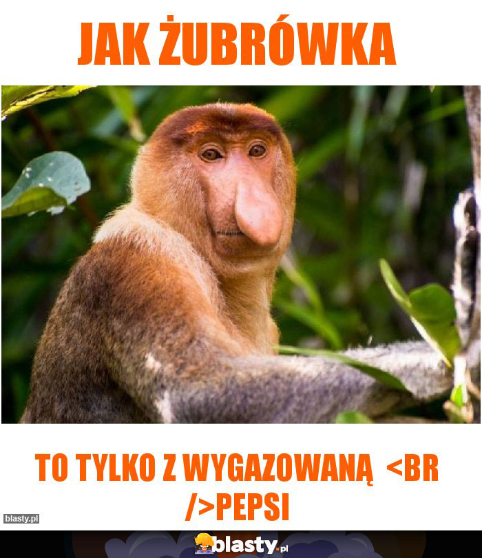 Jak żubrówka