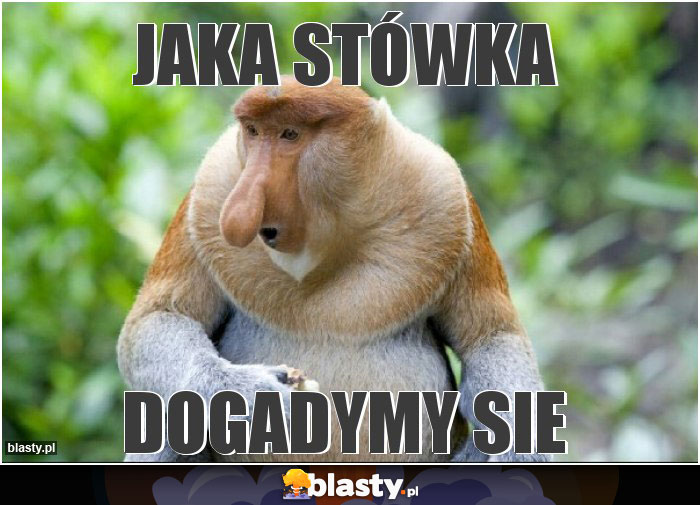 Jaka stówka