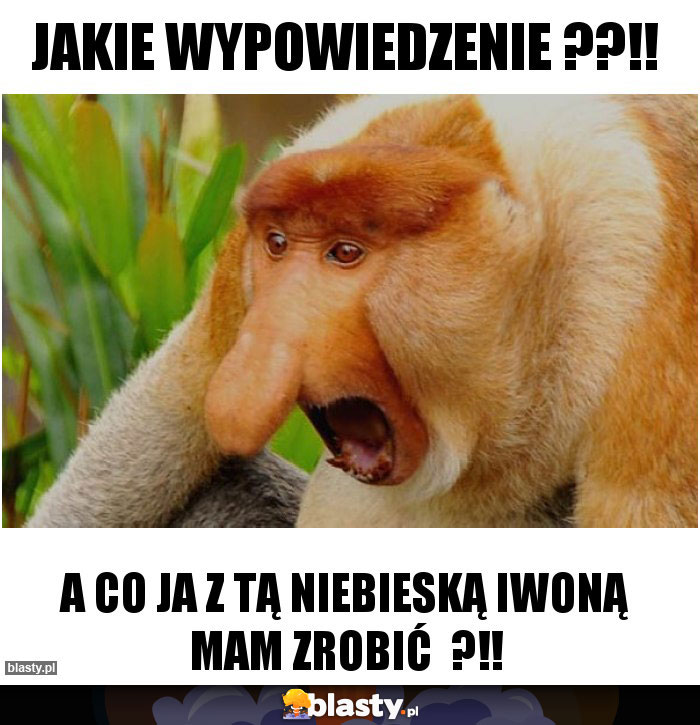 Jakie wypowiedzenie ??!!