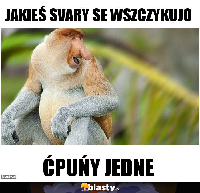 jakieś svary se wszczykujo