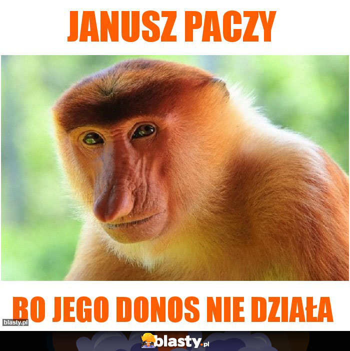 janusz paczy