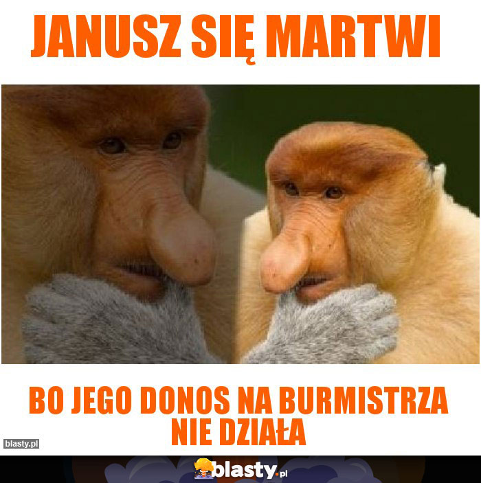 janusz się martwi