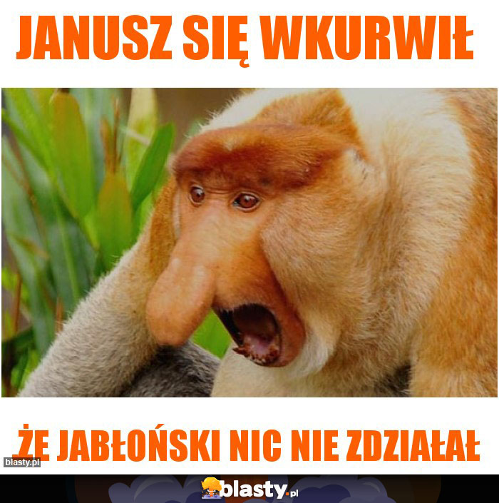 janusz się wkurwił