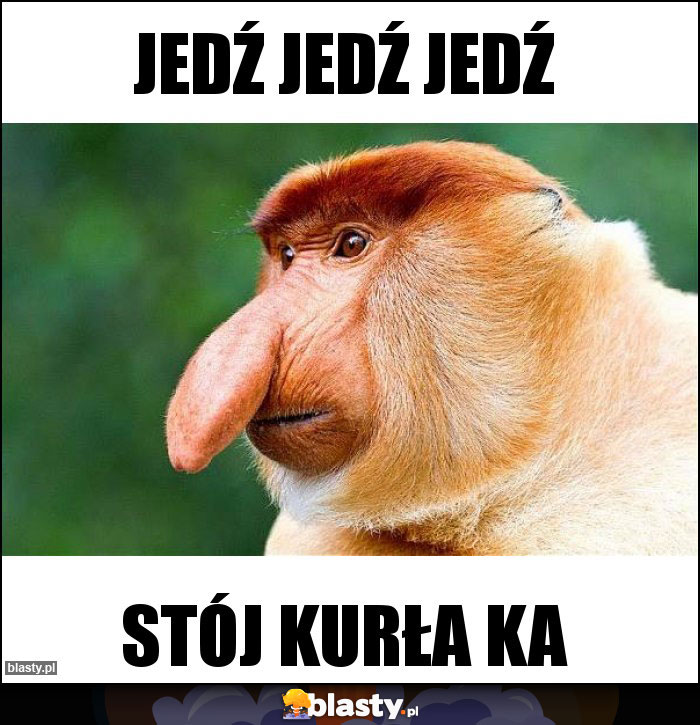 JEDŹ JEDŹ JEDŹ