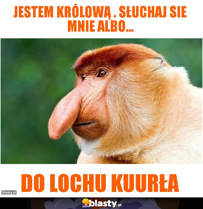 Jestem Królową . Słuchaj sie mnie albo...