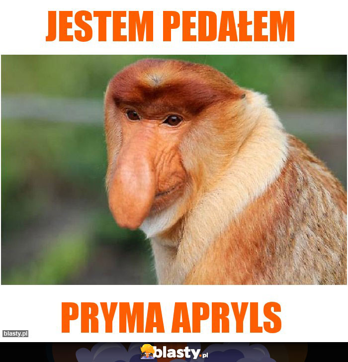 Jestem pedałem