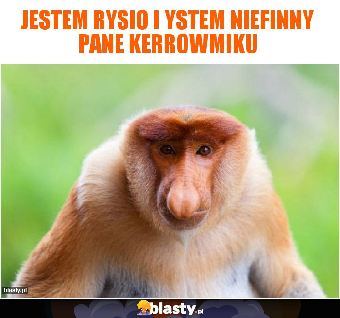 JESTEM RYSIO I YSTEM NIEFINNY PANE KERROWMIKU