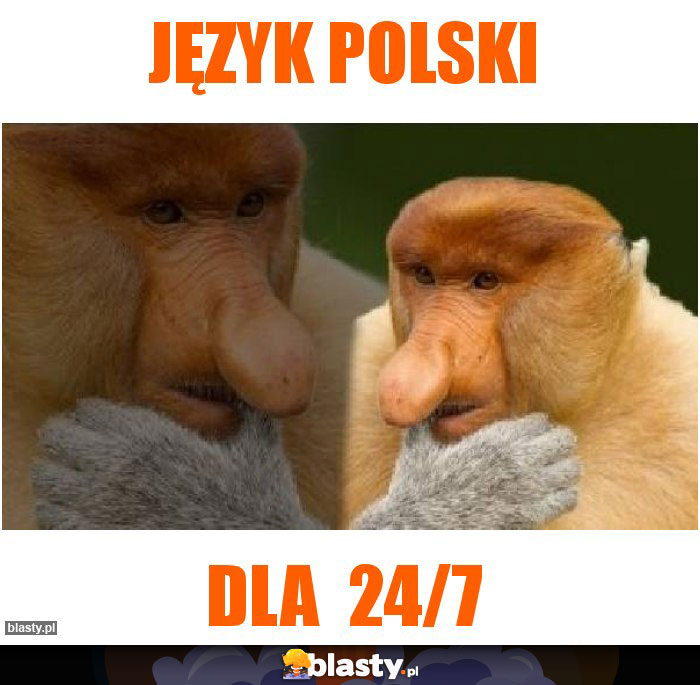 Język polski