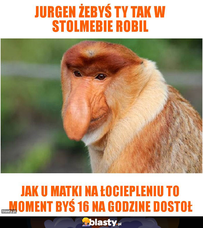 Jurgen żebyś ty tak w stolmebie robil