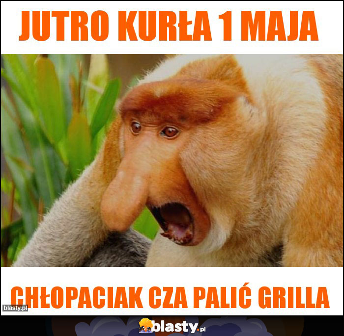 Jutro kurła 1 maja