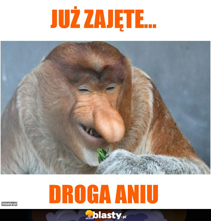 Już zajęte...