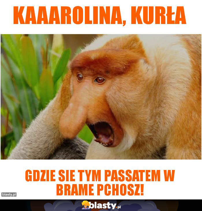 KAAAROLINA, KURŁA