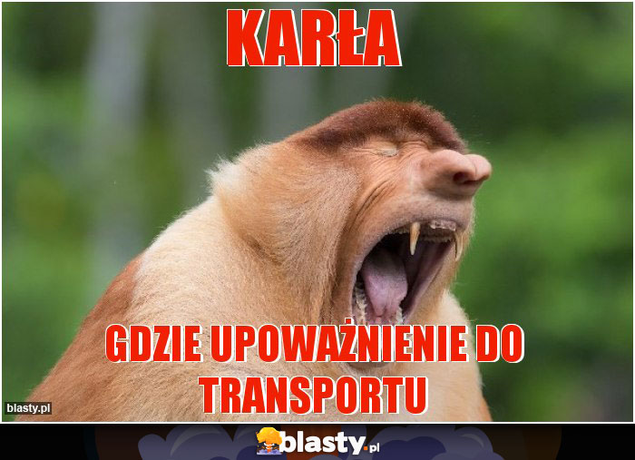 KARŁA