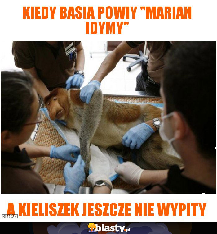 Kiedy basia powiy 