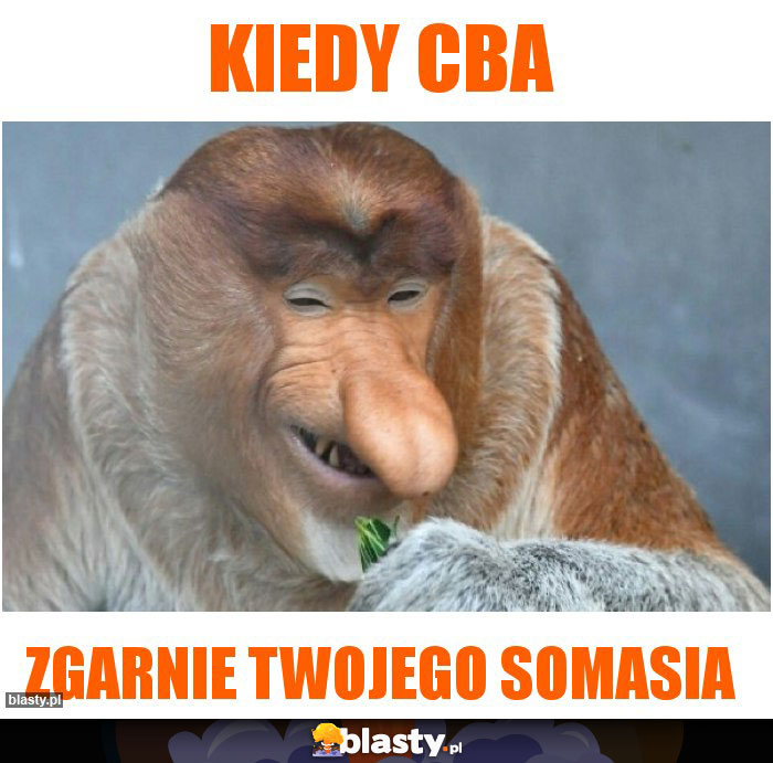 Kiedy CBA