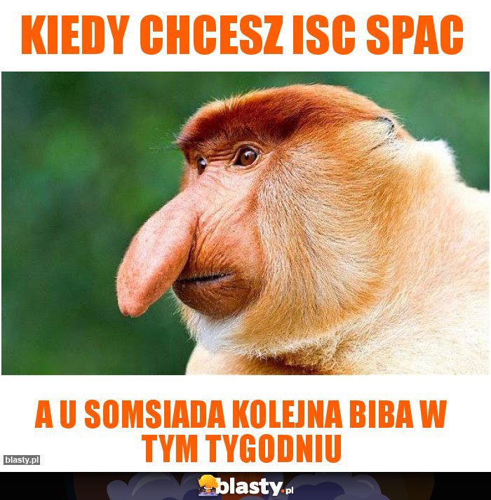 Kiedy chcesz isc spac