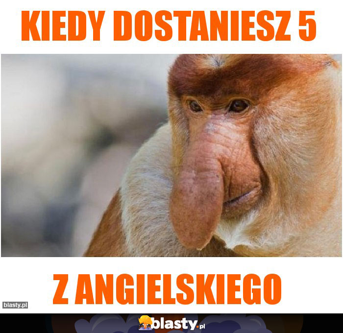 Kiedy dostaniesz 5