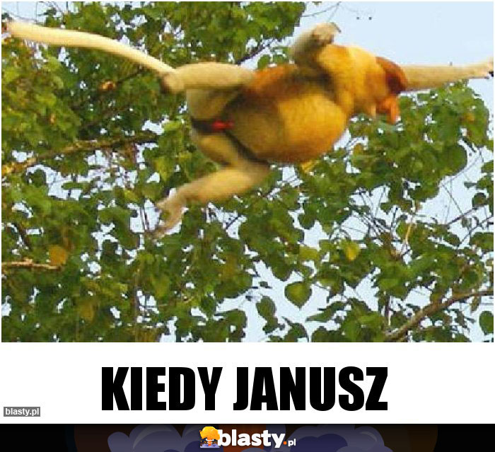 Kiedy Janusz