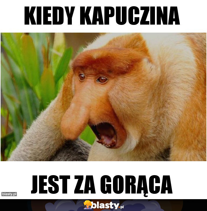 Kiedy kapuczina