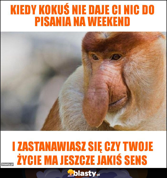 kiedy kokuś nie daje ci nic do pisania na weekend