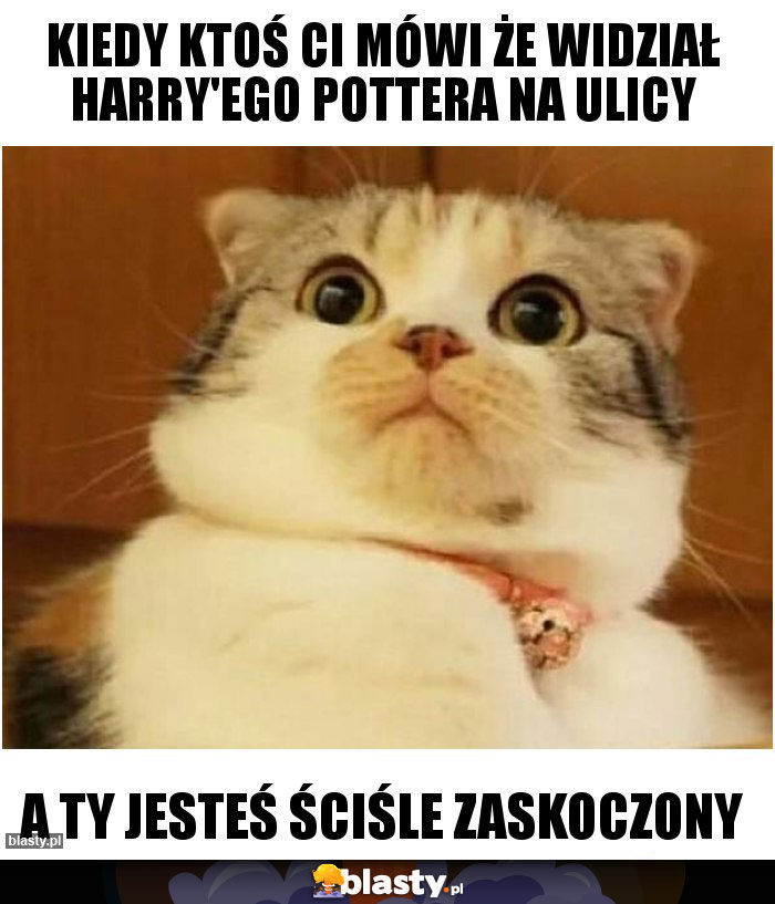 Kiedy ktoś ci mówi że widział Harry'ego Pottera na ulicy