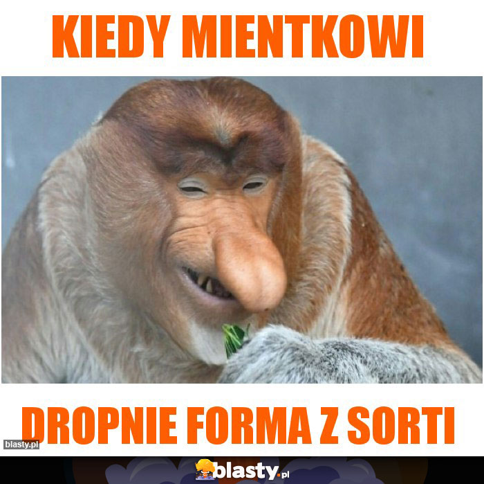 Kiedy Mientkowi