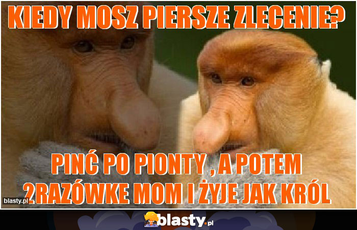 kiedy mosz piersze zlecenie?