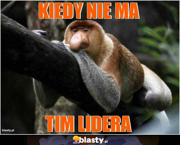 kiedy nie ma